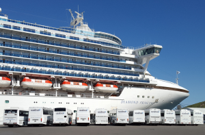 cruise ship excursion tauranga
